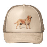 Labrador Retriever Mesh Hat