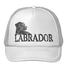 Labrador Retriever Mesh Hat