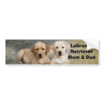 Labrador Retriever Mom & Dad Bumper Sticker bumper stickers
