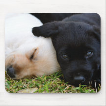 Labrador Retriever Mousepad