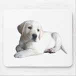 Labrador Retriever Mousepad
