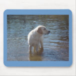 Labrador Retriever Mousepad At The Lake