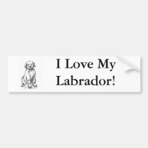 Labrador Retriever Pup Bumper Stickers