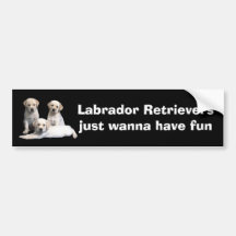 Labrador Retriever Puppies Bumper Sticker
