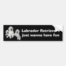 Labrador Retriever Puppies Bumper Sticker