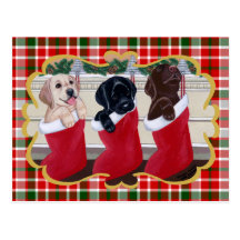 Labrador Retriever Puppies Christmas Tartan Post Cards