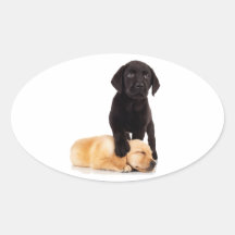 Labrador Retriever Puppies Playing Stickers