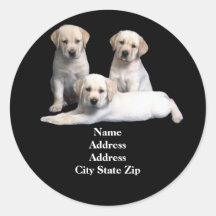 Labrador Retriever Puppy Address Label Round Stickers