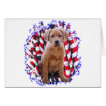 Labrador Retriever (red) Patriot Greeting Cards