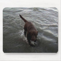 Labrador Retriever swimming Mouse Pads