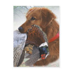 Labrador Retriever The Ultimate Bird Dog Postcard