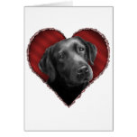Labrador Retriever with Heart Card