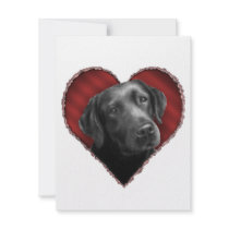 Labrador Retriever with Heart Custom Announcements