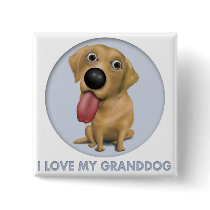 Labrador Retriever (Yellow) Granddog
