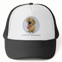 Labrador Retriever (Yellow) Granddog