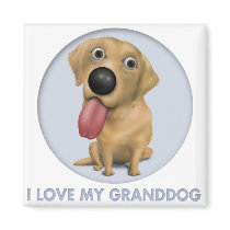 Labrador Retriever (Yellow) Granddog