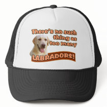 LABRADOR RETRIEVERS