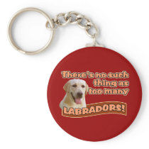 LABRADOR RETRIEVERS