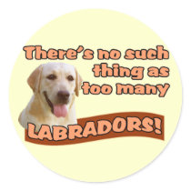 LABRADOR RETRIEVERS