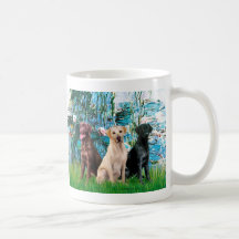 Labrador Trio - Lilies 1 Coffee Mug