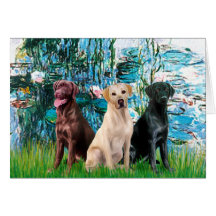 Labrador Trio - Lilies 1 Greeting Cards