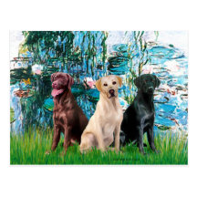 Labrador Trio - Lilies 1 Post Cards