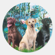 Labrador Trio - Lilies 1 Sticker