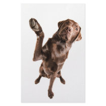 Labrador with a Big High Five Personalized Stationery