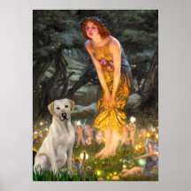 Labrador (Y7) - MidEve Poster
