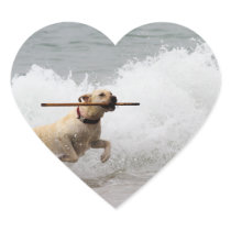 Labrador - Yellow - Go Fetch!