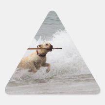 Labrador - Yellow - Go Fetch! Triangle Sticker