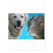 Labs Mr. Blue & Otis Postcards