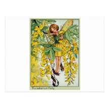 Laburnum Fairy Postcards