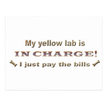 labyellow post card