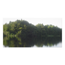 Lac alligator photocarte