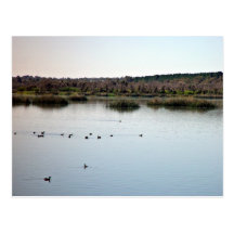 Lac Joondalup Cartes Postales