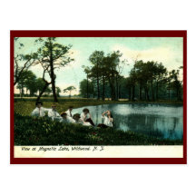 Lac magnolia, Wildwood, cru de New Jersey Cartes Postales