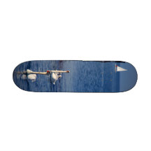 Lac swan skateboards personnalisables