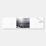 Lac tombé leaf adhésif pour voiture