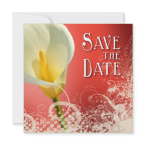 Lace Lily Save the Date (coral)