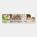 Lace Tomatillo Husk Bumper Stickers