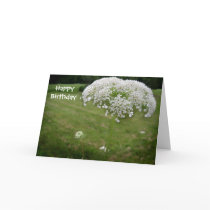Lace Umbrella cards
