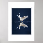 Lace Wings on Blue Poster