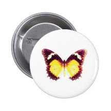 Lacewing Butterfly Button