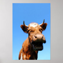 Lachende Kuh Posterdrucke
