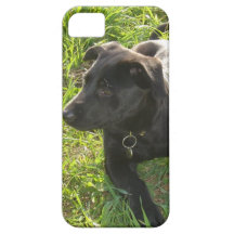Lacquer Black German Shepherd iPhone 5 Cases