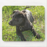 Lacquer Black German Shepherd Mousepad