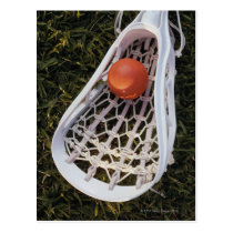 Lacrosse Stick and Ball postcards