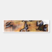 Lacunae Bumper Sticker