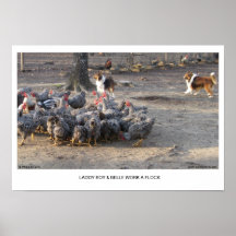Laddy Boy & Belle Work A Flock Print